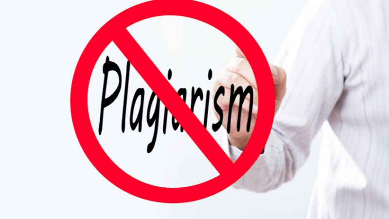 Plagiarism-Free Work